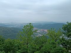 -惠山国家森林公园