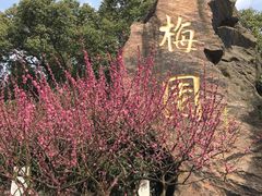 -无锡梅园公园