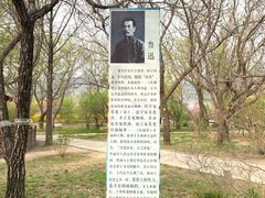 -红楼梦邮局