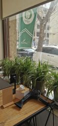 -M+hair salon专业造型沙龙