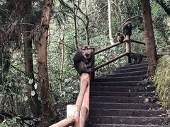 -九峰山