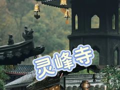 -阿露佳·舌尖上的安吉菜