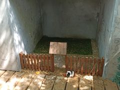 -北京鹿世界主题园