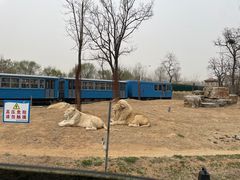 -秦皇岛野生动物园