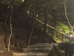 -吉林市朱雀山国家森林公园