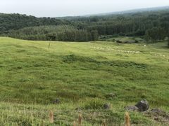 -恋山坝上草原