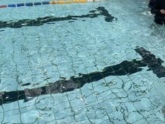 -汇乐游泳馆(莲花南路店)