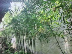 -天一阁博物院