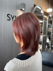 -SY COLOUR专业烫染