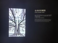 -上海科技馆-探索之光