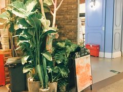 -茶理宜世(东方宝泰店)