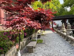-苏州吴宫泛太平洋酒店