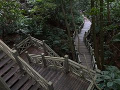 -南宁良凤江国家森林公园