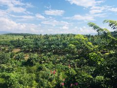 -西双版纳融创皇冠假日度假酒店