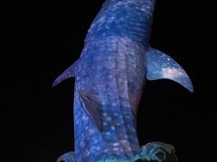 -珠海长隆海洋王国