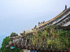 -北京鹫峰国家森林公园