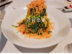 巧拌豆苗-四季民福烤鸭店(故宫店)