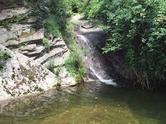 -王顺山国家森林公园