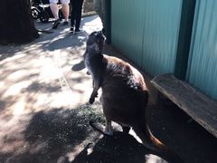 -费瑟代尔野生动物园