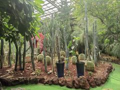 -呀路古热带植物园