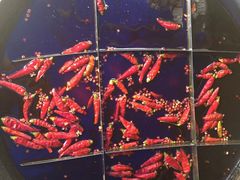 -独雅老火锅(原宏声巷店)
