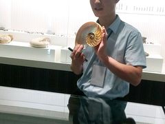 -青岛贝壳博物馆