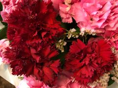 -益阳华天大酒店