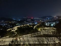 -福道