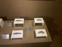 -洛阳周王城天子驾六博物馆