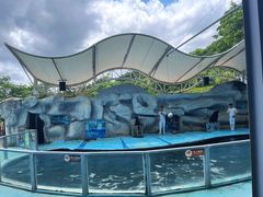 -泉州海丝野生动物世界