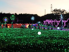 -海上田园