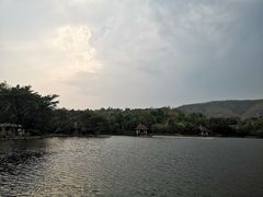 -清迈夜间动物园