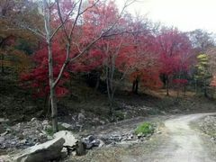 -庆岭迎宾园正宗活鱼馆