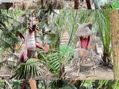 -呀路古热带植物园