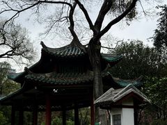 -柳侯公园