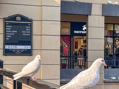 -王府井奥莱临潼小镇(临潼店)