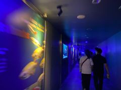 -白鹤梁水下博物馆