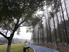 -宜兴龙背山森林公园