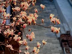 -北京颐和宾馆
