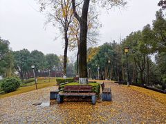 -重庆市江北嘴中央商务区中央公园