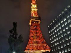 -东京塔海贼王主题公园