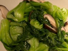 香菇炒油菜-渝信川菜·川味家常菜(新辰里亚运村店)