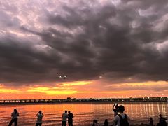 -宝安西湾红树林湿地公园