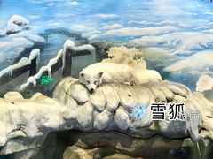 -顺德南宏海立方海洋公园
