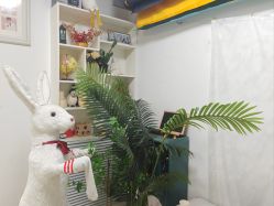 -卡洛儿高端儿童摄影(郑东新区店)