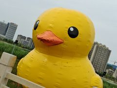 -保定东湖公园(莲池区)