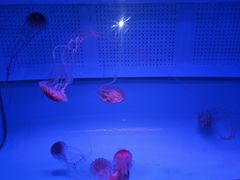 -鄂尔多斯野生动物园