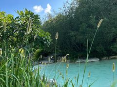 -上海吴淞炮台湾国家湿地公园
