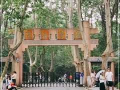-灵谷景区