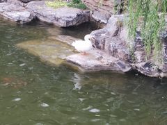 -迎泽公园